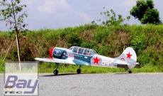 VQ Model YAk-52 TW 46 1,54m ARF