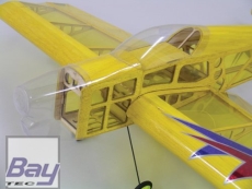Fire Dragon 3D 890mm ARF