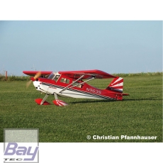 Bay-Tec Seagull DECATHLON 120 2,0M ARF IN HOLZBAUWEISE 2000mm