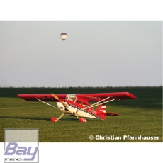 Bay-Tec Seagull DECATHLON 120 2,0M ARF IN HOLZBAUWEISE 2000mm