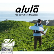 DREAM-FLIGHT ALULA TREK ARG EPO FORMSCHAUM DLG DISCUS LAUNCH GLIDER 900mm