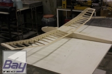 RBC Kits RED EAGLE Elektrosegler CNC Holzbausatz - 200 cm