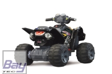 Ride-On Quad 12V
