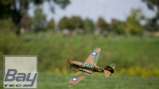 Ultra Micro P-40 Warhawk 401mm AS3X
