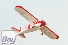 Black Horse Taylorcraft 2050mm ARTF