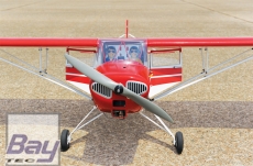 Black Horse Taylorcraft 2050mm ARTF