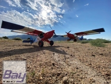 FLITE TEST Freedom Fox PNP 1100/1250mm