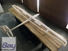 rs-aero rock’X Holzbausatz mit optionalen Spoilerklappen. Segler, oder Elektromodell - 2020mm