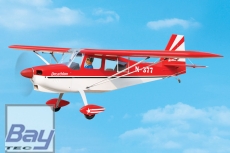 Blackhorse SUPER DECATHLON 2450mm ARF