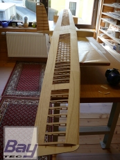 Eleganz Nurflügler mit 3,1m Spannweite CNC Holzbausatz