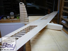 Eleganz Nurflügler mit 3,1m Spannweite CNC Holzbausatz