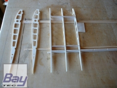 Eleganz Nurflügler mit 3,1m Spannweite CNC Holzbausatz