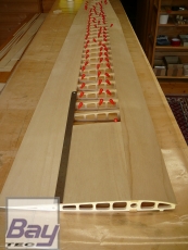 Eleganz Nurflügler mit 3,1m Spannweite CNC Holzbausatz