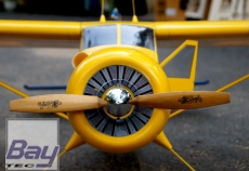 VQ-Model DHC Beaver (Whistler Air) / 1650mm