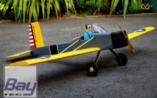 VQ-Model Aircraft Volksplane 46 size EP-GP US version - ARF (1,60 m Spannweite)