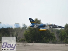 Black Horse Albatros L-39 / 1720 mm - incl. EZFW und Bremse