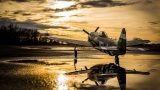 E-Flite P-47D Thunderbolt BNF Basic 1070mm