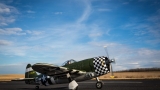 E-Flite P-47D Thunderbolt BNF Basic 1070mm