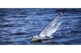 Joysway Dragon Flite 95 ARTR 1473mm Wettbewerbsjacht