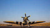 E-flite Spitfire Mk XIV 1,2 m BNF