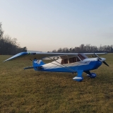 Aviat Husky (33%) 1:3 - 3600mm - ARF (mit 4 Servo GM735MD)