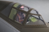 FMS P-47 RAZORBACK BONNIE PNP 1500mm