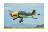 Black Horse Ju-87B2 Stuka 50cc ARTF 2300mm