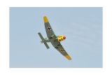 Black Horse Ju-87B2 Stuka 50cc ARTF 2300mm