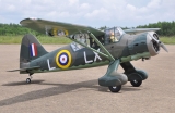 Black Horse Westland Lysander ARTF 35cc 2540mm