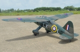 Black Horse Westland Lysander ARTF 35cc 2540mm