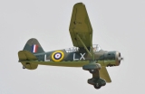 Black Horse Westland Lysander ARTF 35cc 2540mm