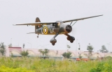 Black Horse Westland Lysander ARTF 35cc 2540mm
