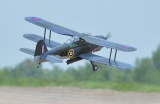 Black Horse Fairey Albacore ARTF 1690mm