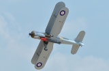 Black Horse Fairey Albacore ARTF 1690mm