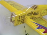 Fire Dragon 3D 890mm ARF