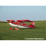 Bay-Tec Seagull DECATHLON 120 2,0M ARF IN HOLZBAUWEISE 2000mm