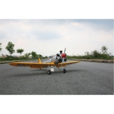 Bay-Tec Seagull RYAN PT-22 RECRUIT 90" ARF VERBRENNER ODER ELEKTROMODELL 2286mm