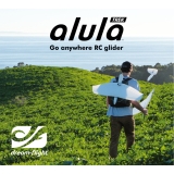 DREAM-FLIGHT ALULA TREK ARG EPO FORMSCHAUM DLG DISCUS LAUNCH GLIDER 900mm