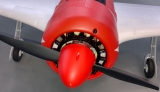 AMXFlight YAK 11 V2 ROT/WEIß EPO PNP - 1450mm - EZFW