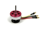 B25 Big Scale Brushless Motor