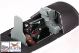 FMS Giant Scale P47 PNP 1700mm Set ohne Akku/RC