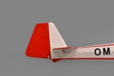Phoenix Bergfalke - 330 cm Elektrosegler