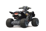 Ride-On Quad 12V