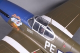FMS Big Scale P-51B Dallas Darling V9 grün/blau PNP Set ohne Akku/RC