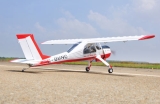 Black Horse PZL Wilga 2240mm ARTF
