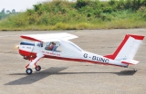 Black Horse PZL Wilga 2240mm ARTF