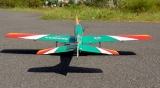 Seagull Models ( SG-Models ) "Curare-style" 64" 1630mm Grün RC1 ARF Modell OHNE Einziehfahrwerk