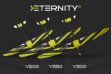 D-Power E-TERNITY² V200 - 200cm Elektrosegler voll-GFK ARF+