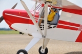 Black Horse Taylorcraft 2050mm ARTF