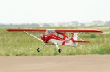 Black Horse Taylorcraft 2050mm ARTF